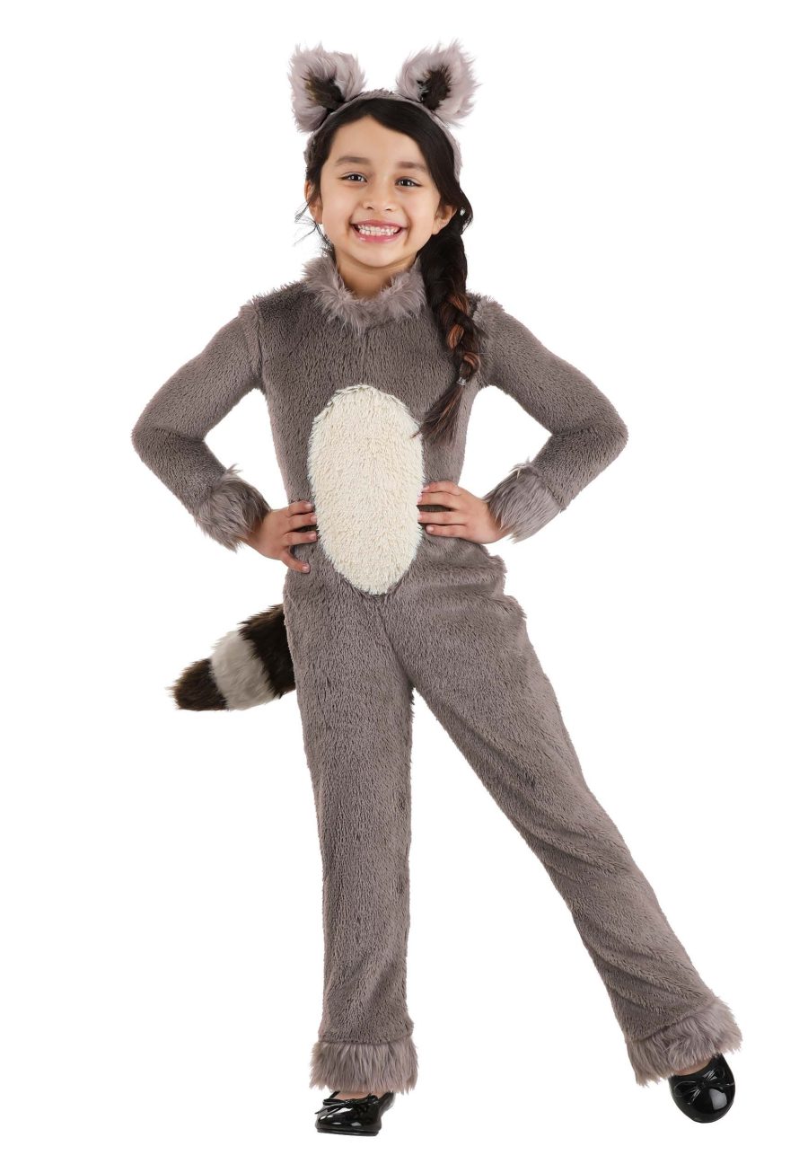 Toddler Girl's Raccoon Costume