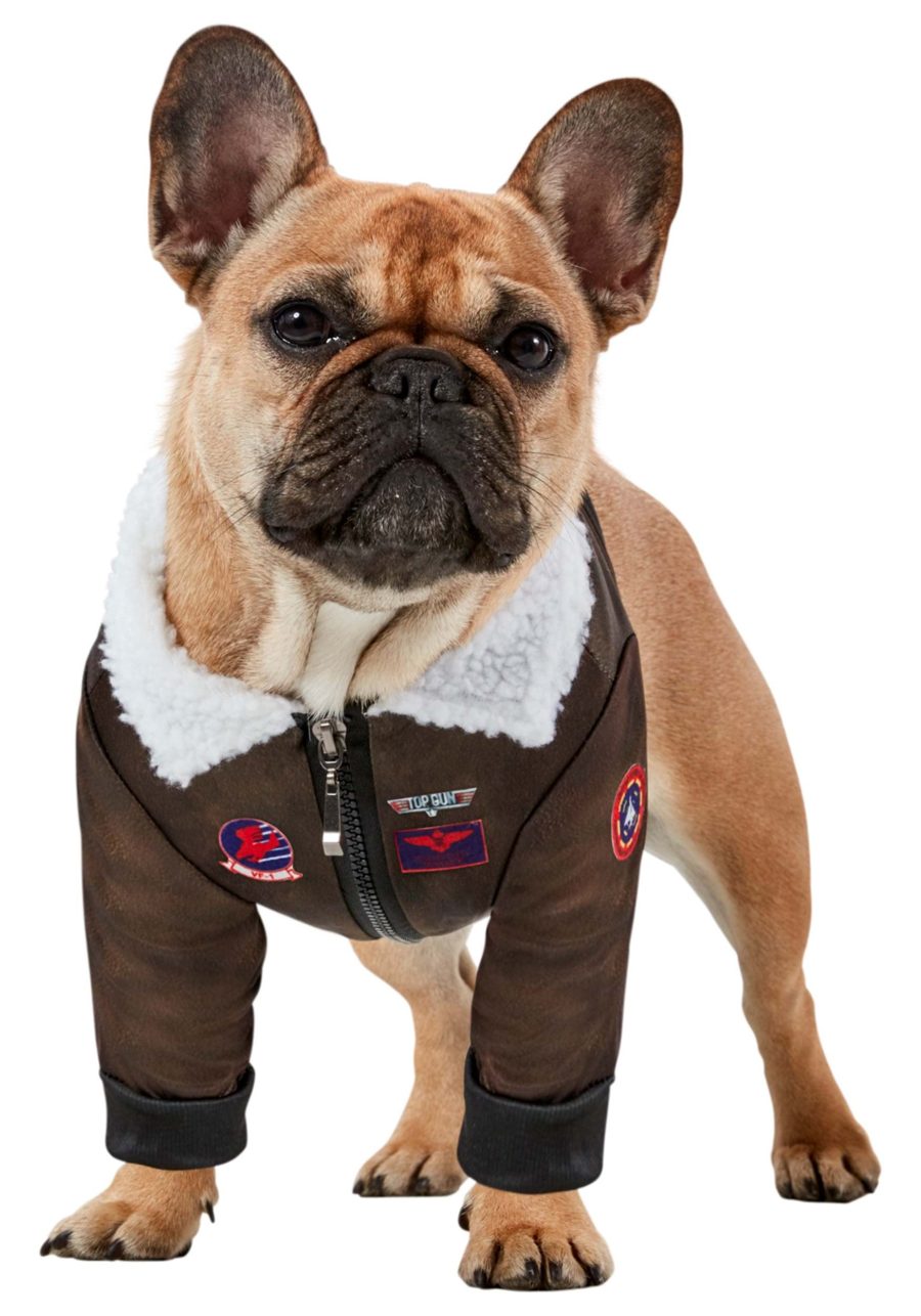 Top Gun Dog Costume