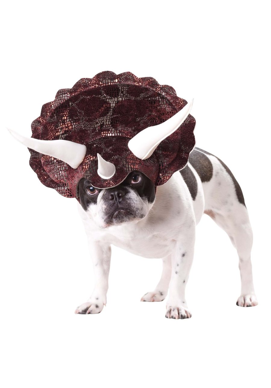 Triceratops Dog Costume