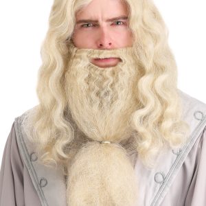 Adult Headmaster Wizard Costume Wig and Beard
