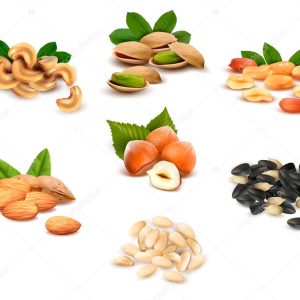 Big collection of ripe nuts Vector