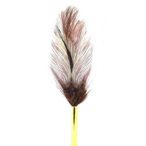 Brown Feather - Brown/MISC