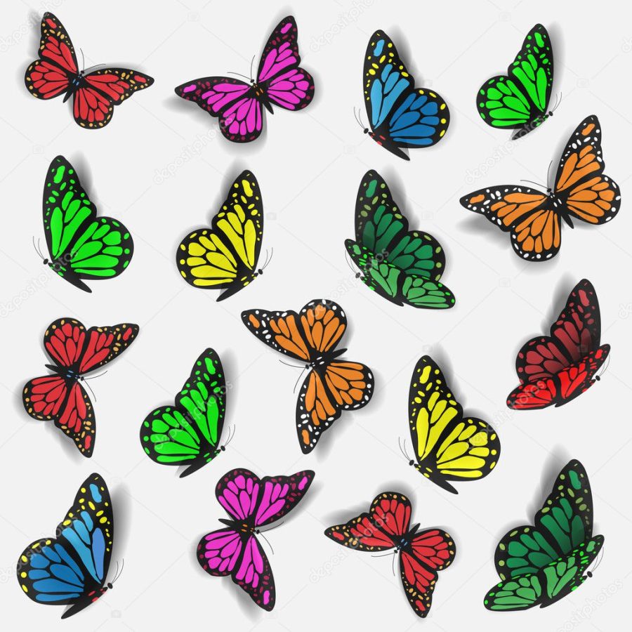 Butterflies