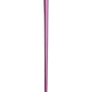 Disney Dr. Facilier Costume Cane Accessory
