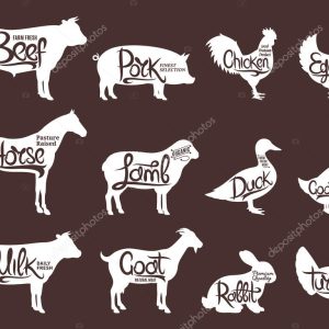Farm Animals Silhouettes Collection. Butchery Labels Templates