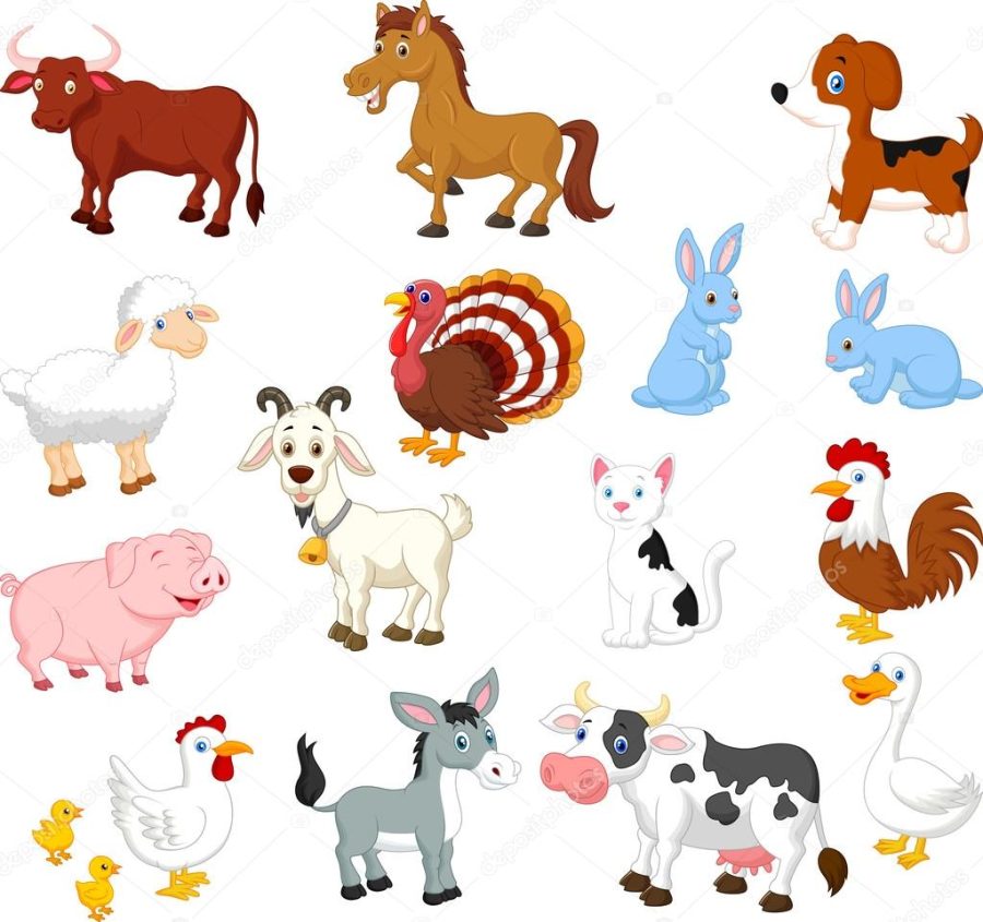 Farm animals