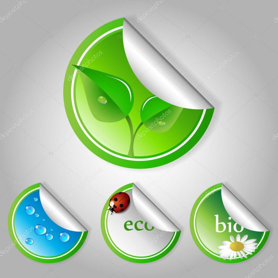 Green Eco Labels and Stickers