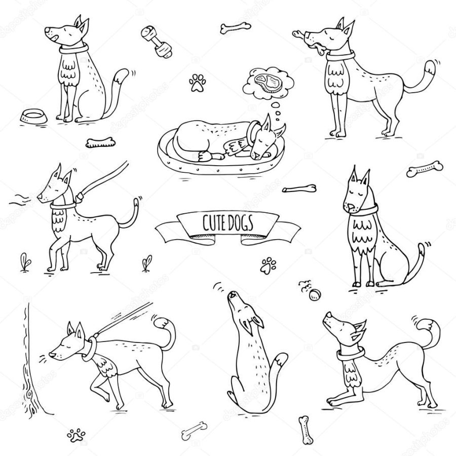 Hand drawn doodle set of cute dogs icons Vector illustration set. Cartoon normal everyday home pets activities symbols. Sketchy puppy collection: howl, play with ball, sleep, walk, eat, ask for food