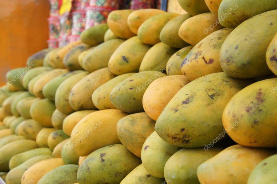 Pile of harvested ripe mangoes collected by farmers and stacked up carefully to sell to customers