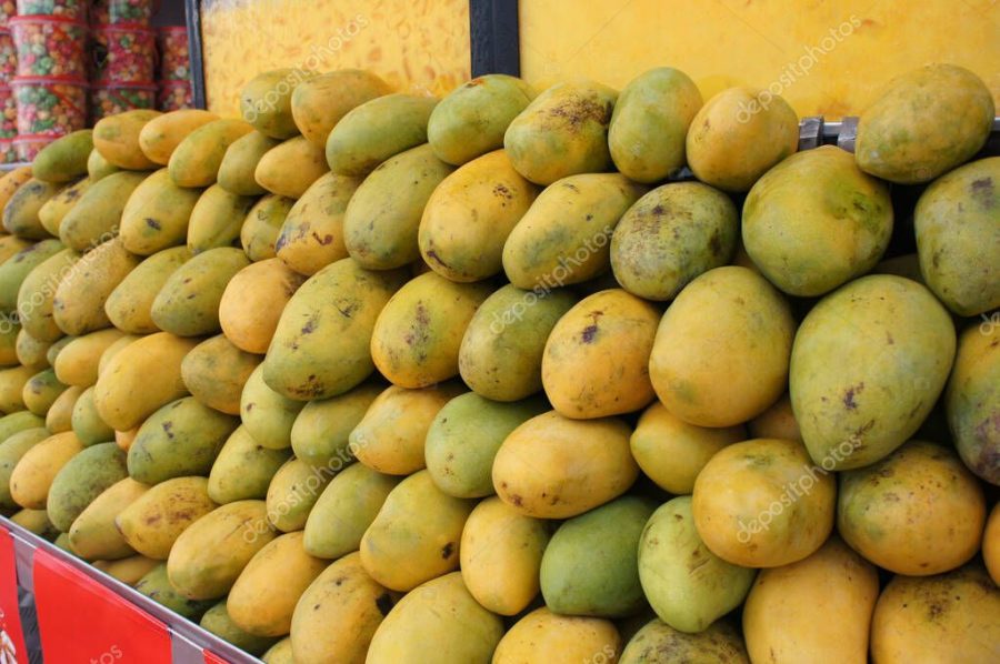 Pile of harvested ripe mangoes collected by farmers and stacked up carefully to sell to customers