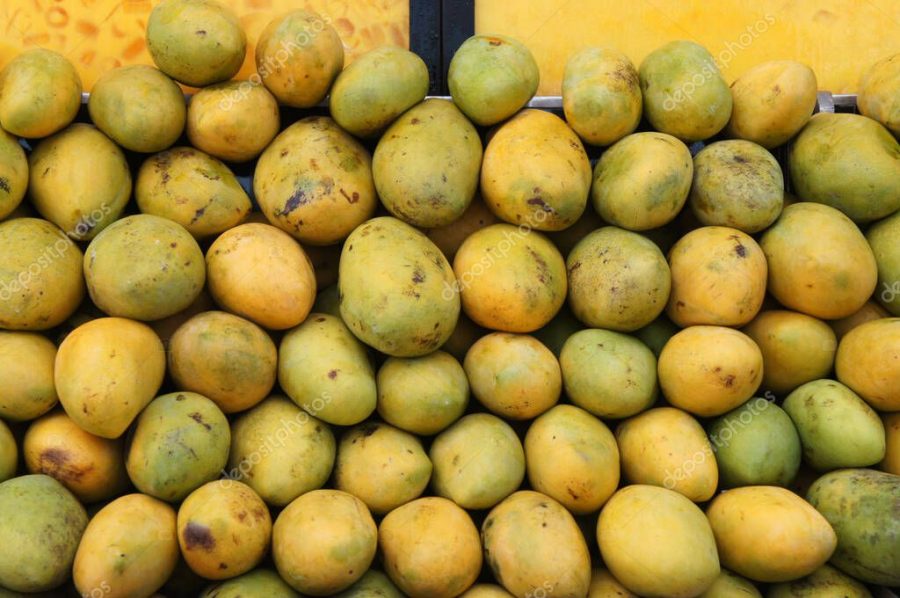 Pile of harvested ripe mangoes collected by farmers and stacked up carefully to sell to customers