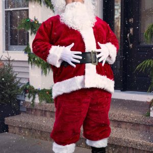 Plus Size Regal Santa Suit Men's Costume