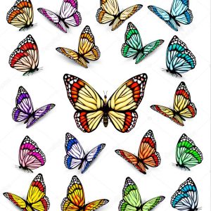 Set of different colorful butterflies. Vector.
