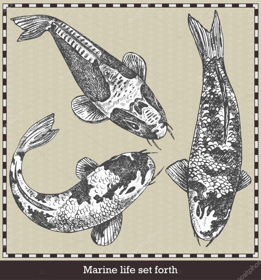 Set of fish. Retro style vector illustration. Isolated on grey background