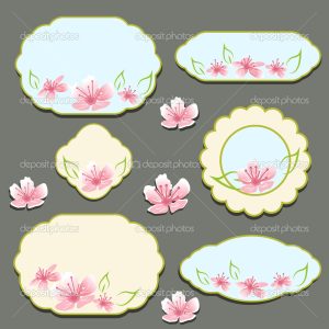 Set of flora frames vector