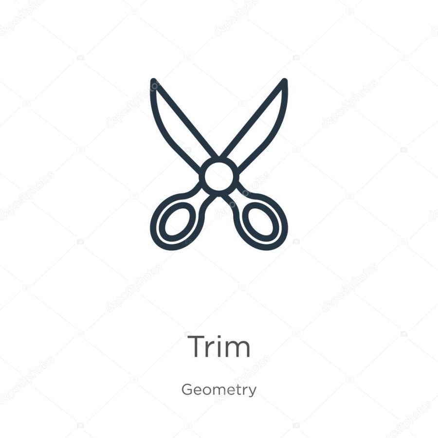 Trim icon. Thin linear trim outline icon isolated on white background from geometry collection. Line vector trim sign, symbol for web and mobile