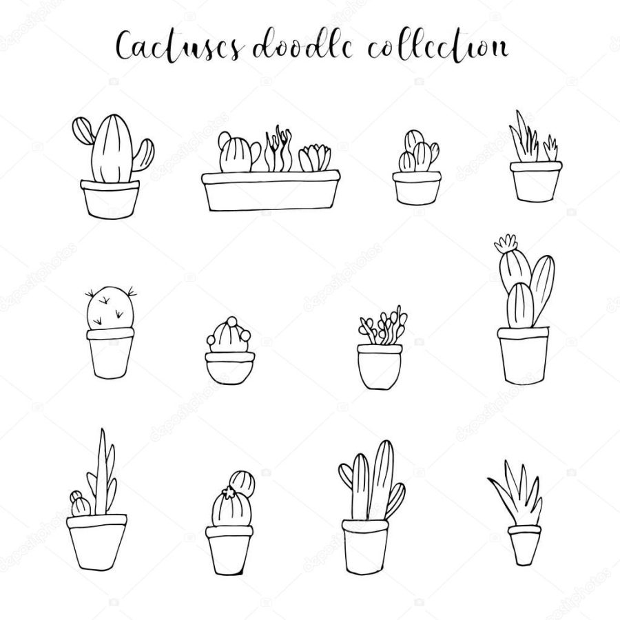 Vector hand drawn cactuses and flowers vector doodle icons collection