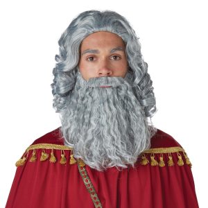 Wise Man Gray Wig and Beard for Men