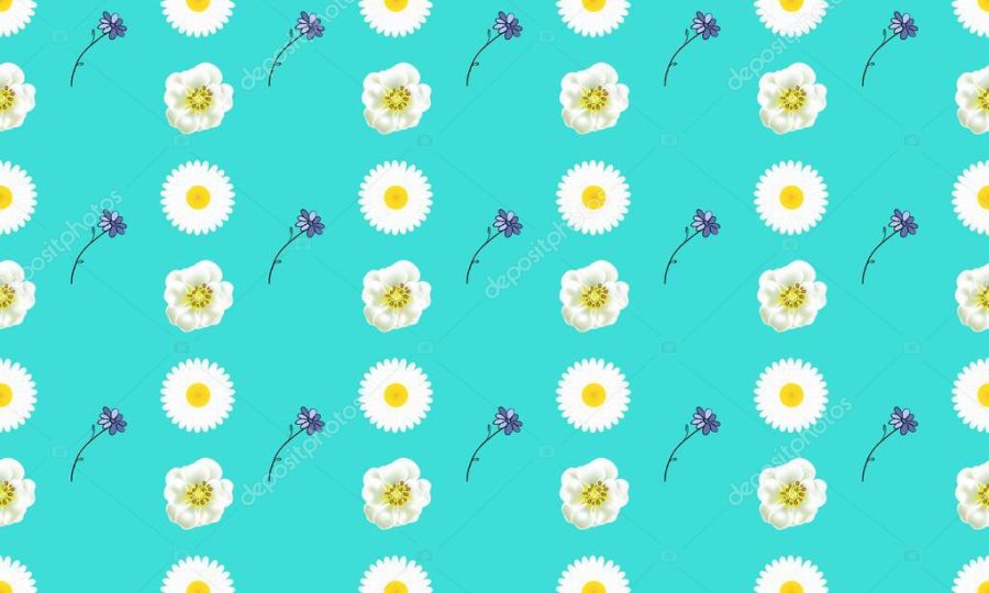 Colored background with different accessories