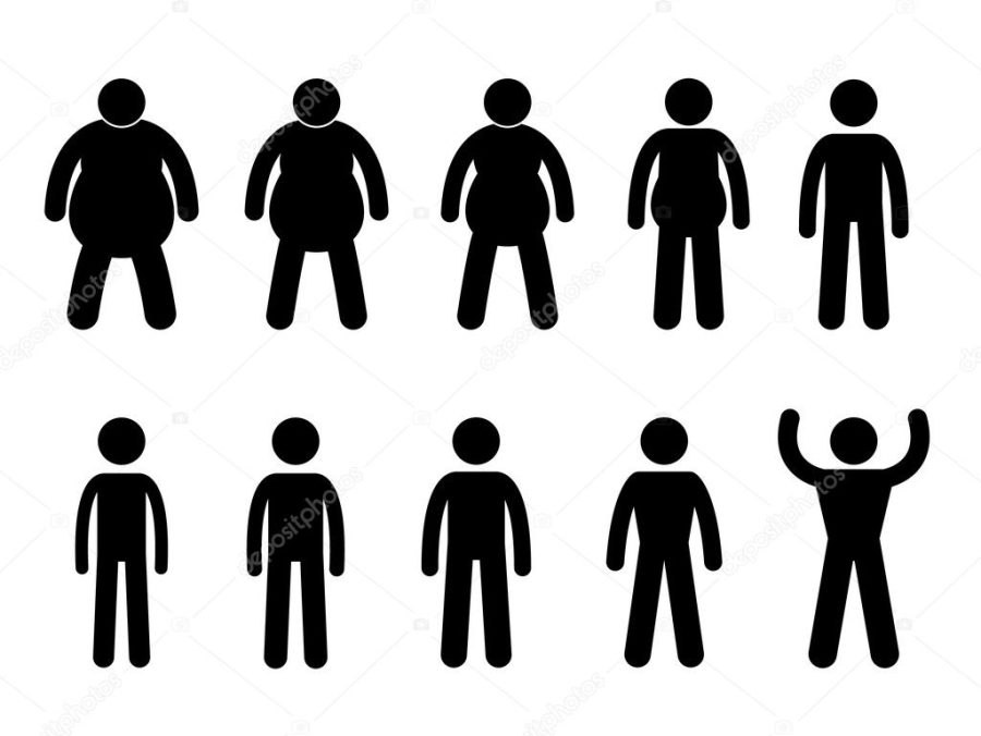 Fat to Thin Process and Thin to Muscular Concept Icon Symbol Sign Pictogram