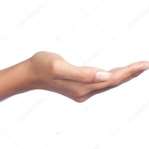 Gesture of womans hand open hand