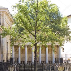 Oak of Guernica, Spain