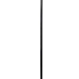 Vampire Red Eyed Skull Costume Accessory Cane