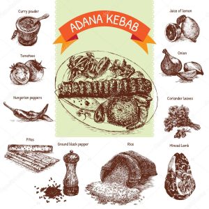 Vector illustration of adana kebab ingredients