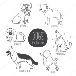 cartoon dos of different breeds