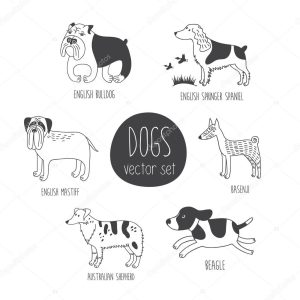cartoon dos of different breeds