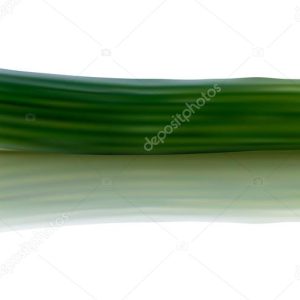 vector illustration of fresh cucumber