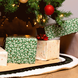 Polar Express Battery Operated Mini Train Set