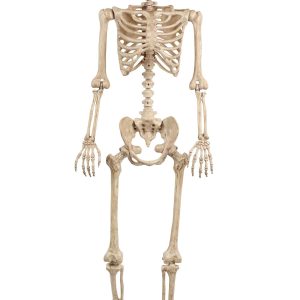 5FT Light Up Blue Eyes Human Skeleton Poseable Decoration