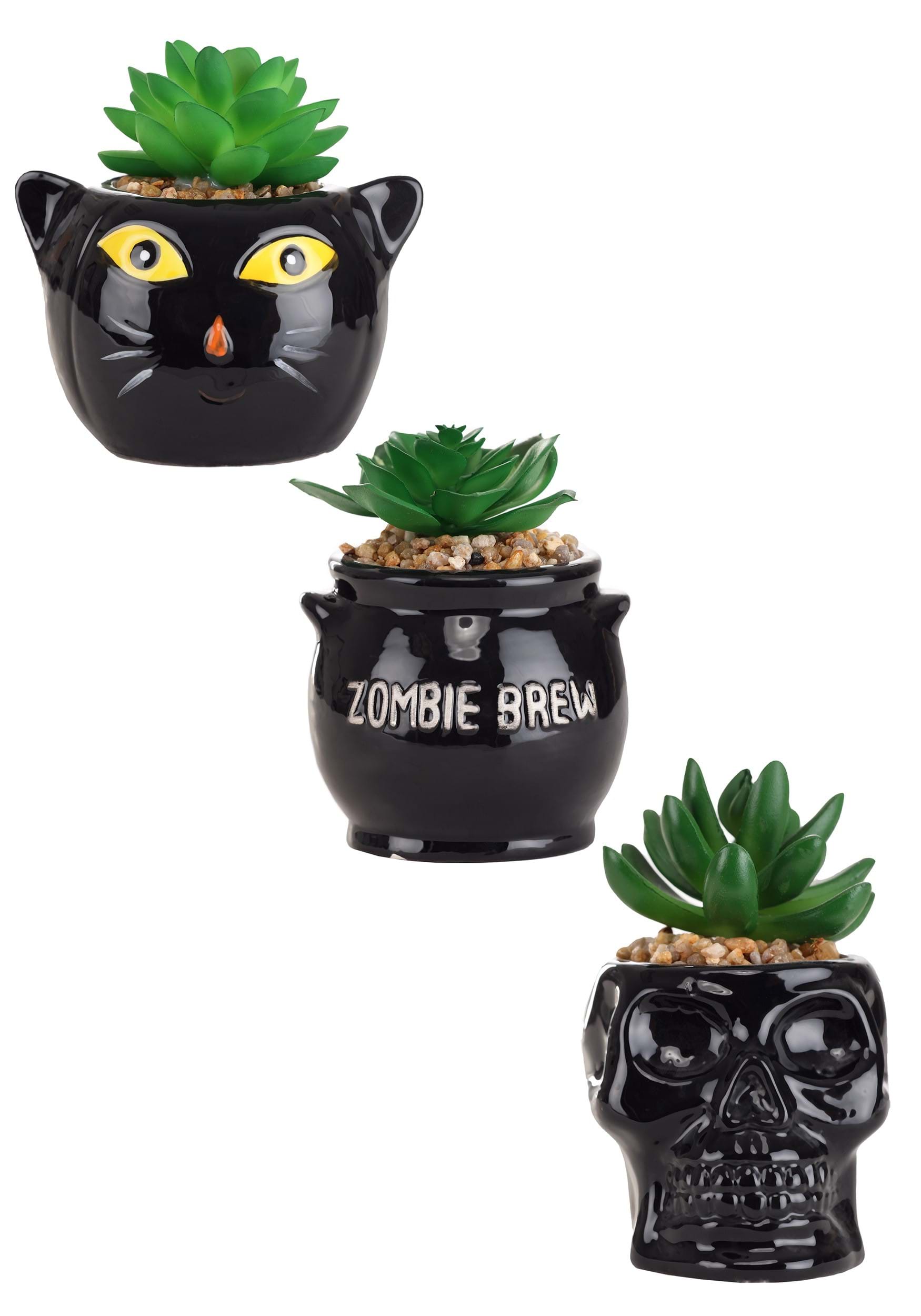 Cauldron, Cat & Skeleton Succulent Decorative Planter Set
