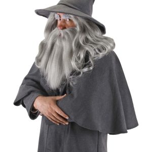 Gandalf Costume Hat