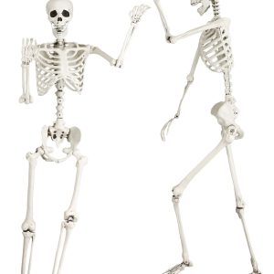 Georgie the Skeleton 5FT Posable Life Size Prop