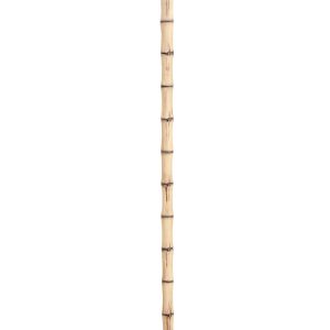 Men's Jurassic Park John Hammond Cane