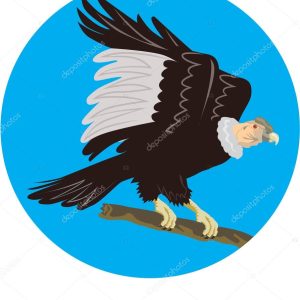 California Condor Perching Branch Circle Retro