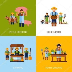 Farmers Design Concept
