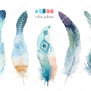 Hand drawn watercolor paintings vibrant feather set. Boho style