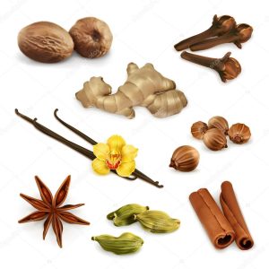Spices icons Set