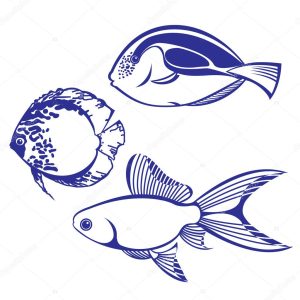 Tropical Fish