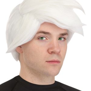 Men's Nickelodeon Danny Phantom Costume Wig
