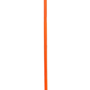 Orange Cane Costume Accessory