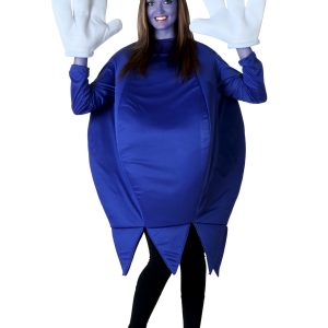 Plus Size Blueberry Costume for Adults