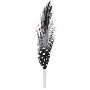 Black & White Feather