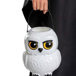Harry Potter Hedwig Treat Pail