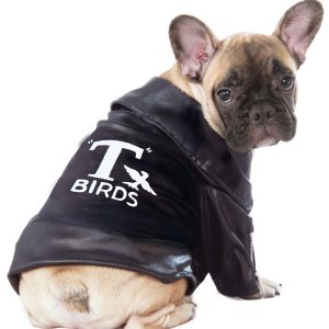 Grease T-Birds Jacket Costume for Pets
