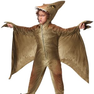 Child's Pterodactyl Costume