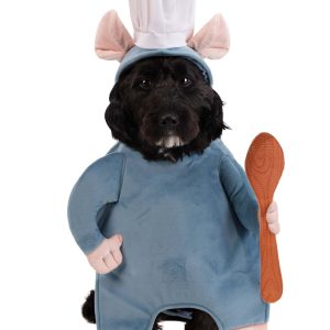 Disney Pixar Remy Pet Costume